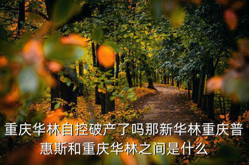重慶華林自控破產了嗎那新華林重慶普惠斯和重慶華林之間是什么