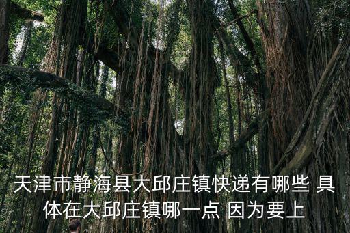 天津市靜海縣大邱莊鎮快遞有哪些 具體在大邱莊鎮哪一點 因為要上