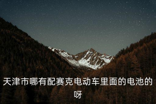 天津市哪有配賽克電動車里面的電池的呀