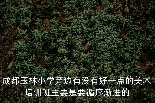 成都市玉林小學的老師，我是教育機構的老師想去成都玉林小學和芳草小學做調查求它