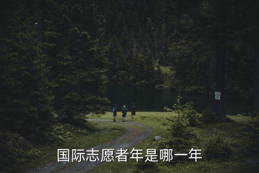 國(guó)際志愿者年，17國(guó)際志愿者年和志愿者日分別是多少所具備得行為能力 18