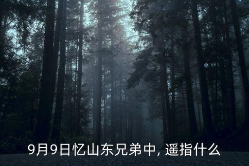 9月9日憶山東兄弟中, 遙指什么