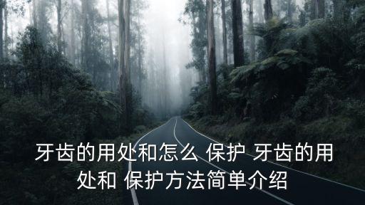  牙齒的用處和怎么 保護(hù) 牙齒的用處和 保護(hù)方法簡單介紹