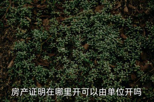 房產證明在哪里開可以由單位開嗎