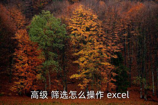  高級 篩選怎么操作 excel