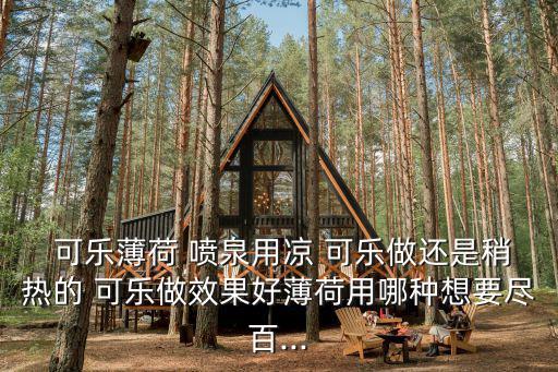 可樂噴泉,全球最大可樂噴泉2010年墨西哥創建