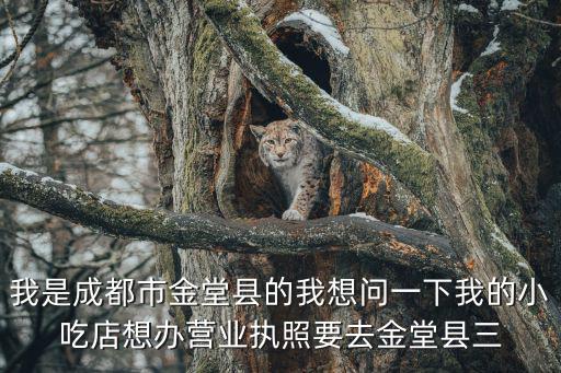 成都市金堂縣三星鎮蛋糕店，我是成都市金堂縣的我想問一下我的小吃店想辦營業執照要去金堂縣三