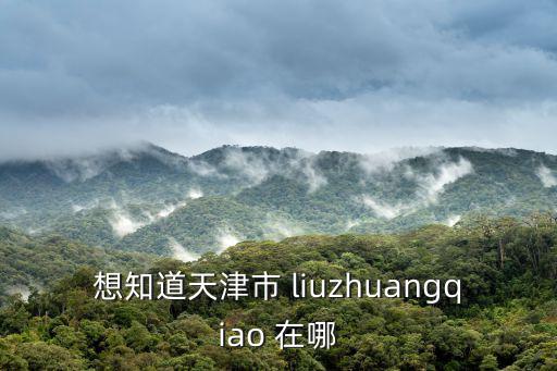 想知道天津市 liuzhuangqiao 在哪