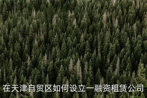 在天津自貿區如何設立一融資租賃公司