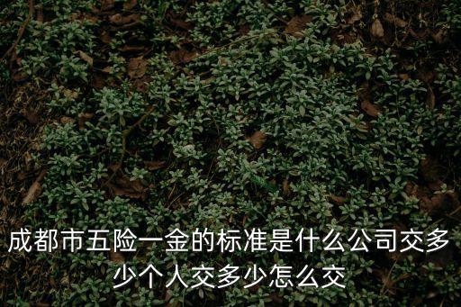 成都市五險一金的標準是什么公司交多少個人交多少怎么交