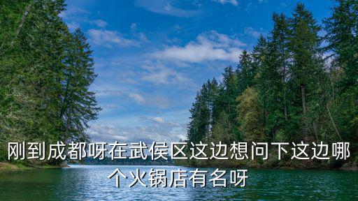 剛到成都呀在武侯區這邊想問下這邊哪個火鍋店有名呀