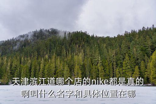 天津濱江道哪個店的nike都是真的啊叫什么名字和具體位置在哪