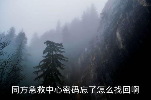 同方急救中心密碼忘了怎么找回啊