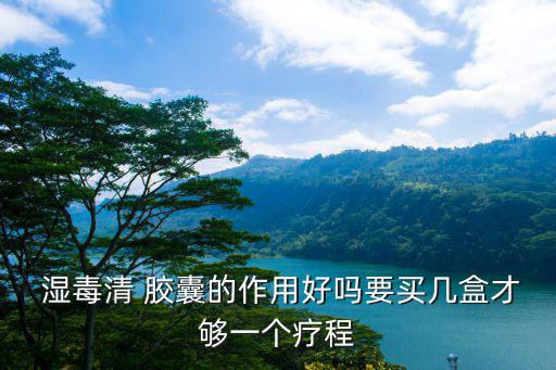  濕毒清 膠囊的作用好嗎要買幾盒才夠一個療程