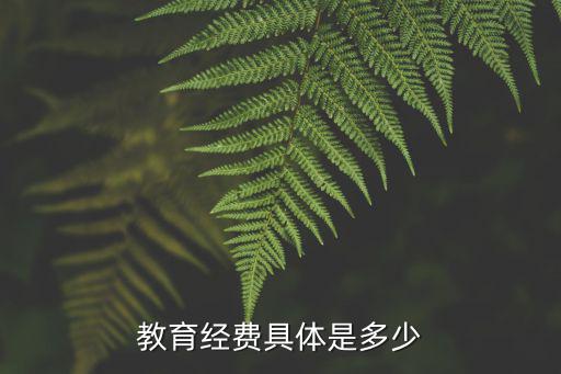 成都市教育局教育經(jīng)費(fèi)，九年義務(wù)教育的學(xué)生有教育經(jīng)費(fèi)嗎