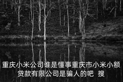 重慶小米公司誰是懂事重慶市小米小額貸款有限公司是騙人的吧  搜