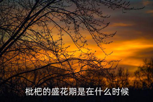 枇杷什么時候開花,什么時候長的枇杷樹?一般10月開花