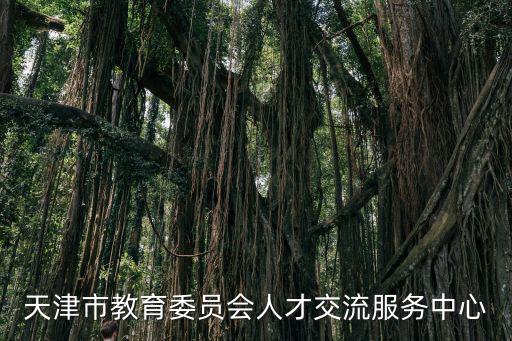天津市交流合作辦，天津市外經人才開發公司與天津市經委人才交流服務中心哪個好