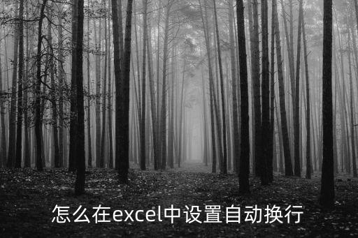 怎么在excel中設置自動換行