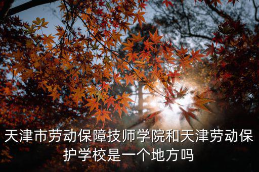 天津市勞動保障技師學院和天津勞動保護學校是一個地方嗎