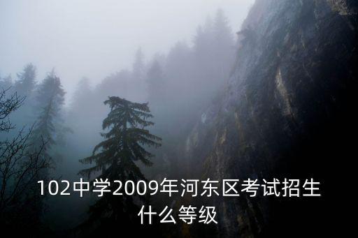 天津市102中學招生簡章，102中學2009年河東區考試招生什么等級