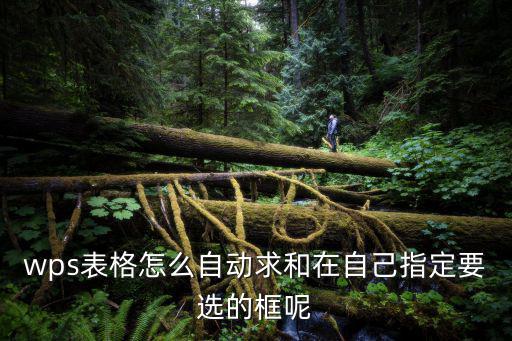 wps表格怎么自動求和在自己指定要選的框呢
