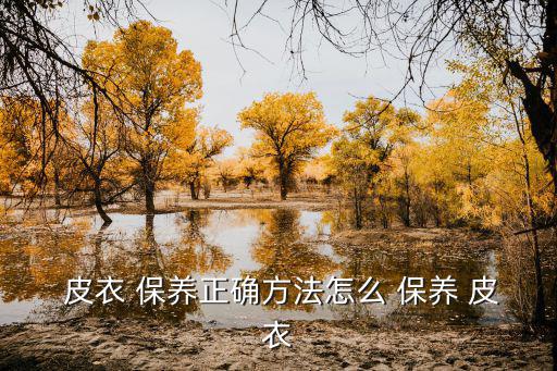  皮衣 保養正確方法怎么 保養 皮衣