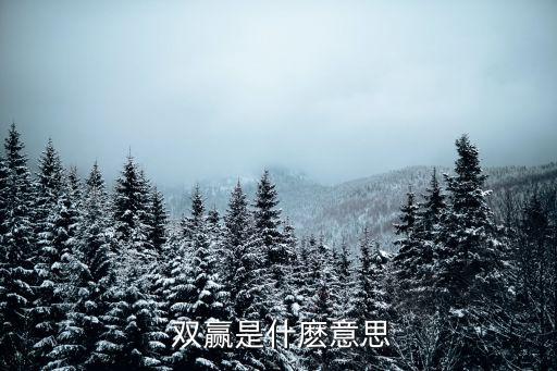 雙贏的英文,雙贏模式是中西方市場競爭理念相結合的產物