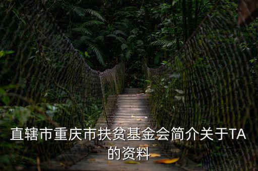 直轄市重慶市扶貧基金會簡介關于TA的資料