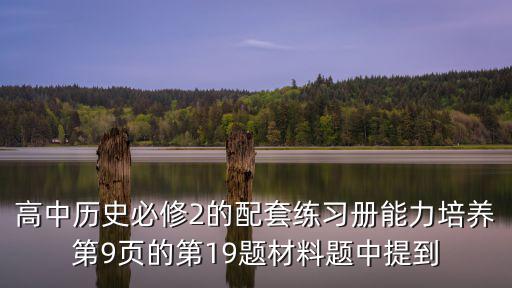 高中歷史必修2的配套練習冊能力培養第9頁的第19題材料題中提到