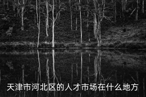 天津市河北區(qū)的人才市場(chǎng)在什么地方