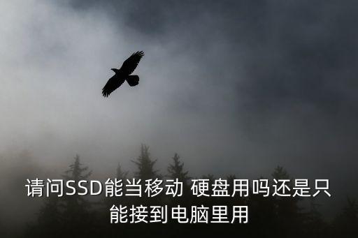 請問SSD能當移動 硬盤用嗎還是只能接到電腦里用