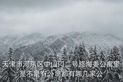 天津市河東區中山門二號路海委公寓里是不是有公司都有哪幾家公
