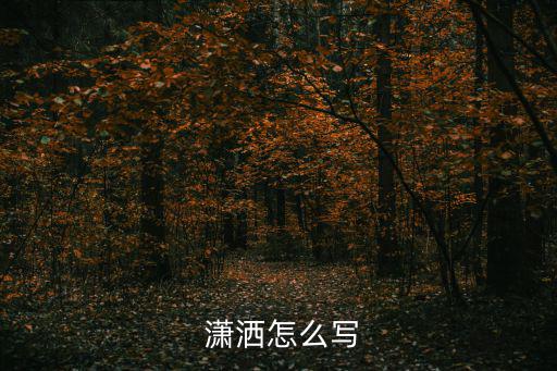  瀟灑怎么寫