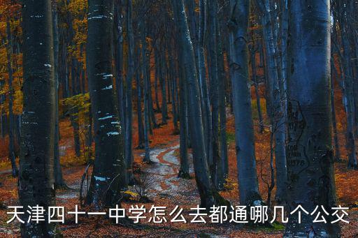 天津市41中電話(huà)，天津四十一中學(xué)怎么去都通哪幾個(gè)公交