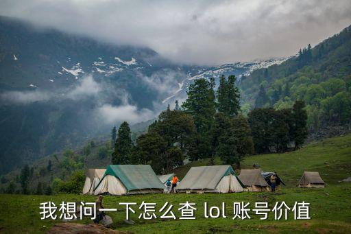 我想問一下怎么查 lol 賬號價值