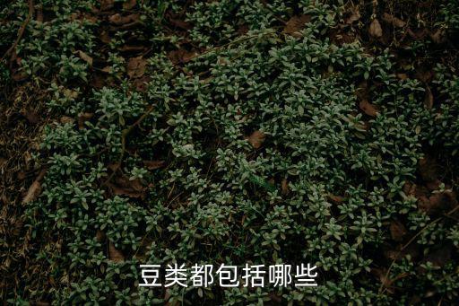 豬腰豆,紅色扁豆可助人體修復抗衰老功效