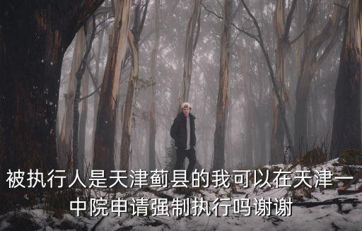 被執行人是天津薊縣的我可以在天津一中院申請強制執行嗎謝謝