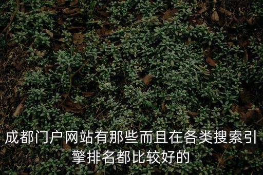 成都門戶網(wǎng)站有那些而且在各類搜索引擎排名都比較好的