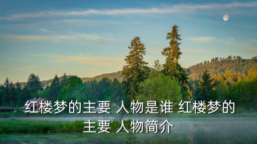  紅樓夢的主要 人物是誰 紅樓夢的主要 人物簡介