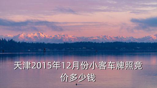 天津2015年12月份小客車牌照競價多少錢