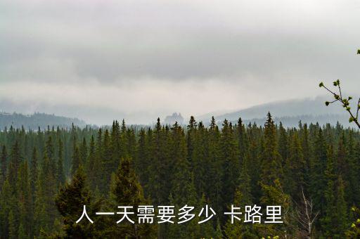 卡路里對(duì)照表,堅(jiān)毅向前預(yù)算案