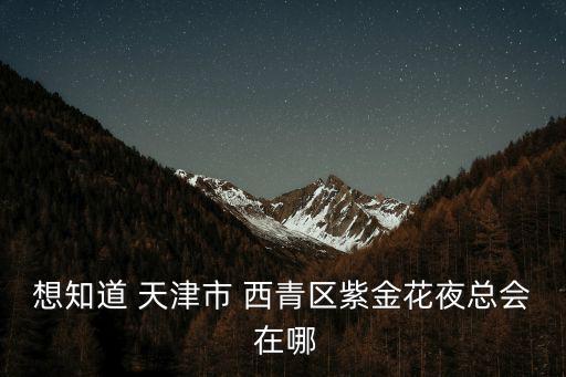 天津市的西青區的妓女，天津市西青區中北鎮附近哪里有私人會所會館CLUB等的地方