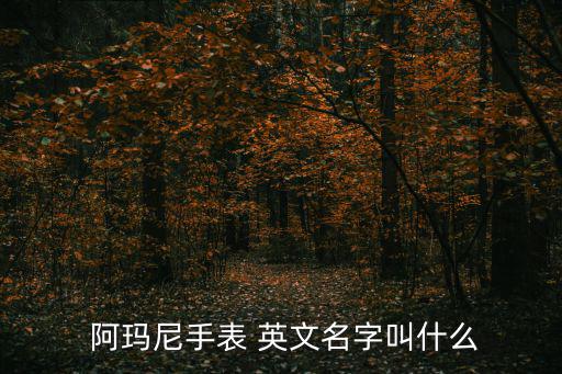 阿瑪尼英文,阿瑪尼服裝標志四種組成