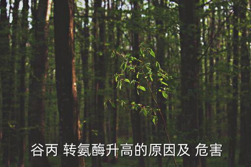  谷丙 轉(zhuǎn)氨酶升高的原因及 危害