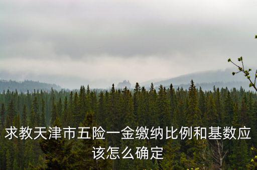 求教天津市五險(xiǎn)一金繳納比例和基數(shù)應(yīng)該怎么確定