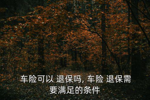 車險退保,車險還在保險期內沒脫離危險可申請退保