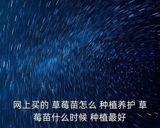 網(wǎng)上買(mǎi)的 草莓苗怎么 種植養(yǎng)護(hù) 草莓苗什么時(shí)候 種植最好