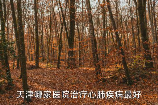 天津市心臟醫(yī)院，天津檢查心臟那家醫(yī)院好