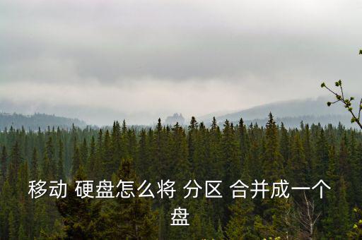 移動(dòng) 硬盤(pán)怎么將 分區(qū) 合并成一個(gè)盤(pán)